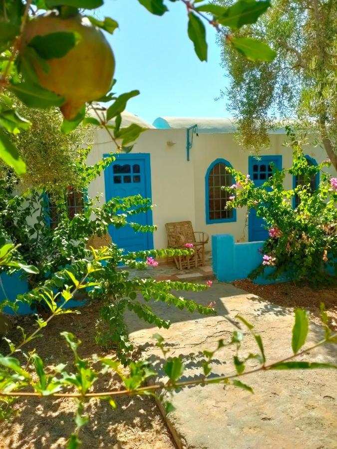 Dream Lodge Siwa Siwa Oasis Exterior foto